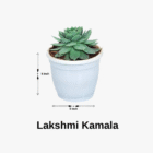 lakshmi kamala