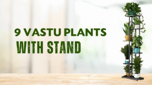 Vastu plants with stand