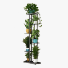 vastu plants with stand