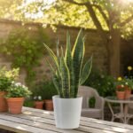 Is Your Flat Vastu Compliant? Here’s How to Check