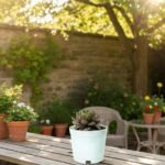 When buying a flat, don’t just think about location and price—think about energy and positivity. A Vastu Shastra checklist ensures that your new home becomes a source of harmony, wealth, and happiness. Adding the 9 Vastu plants amplifies positivity, bringing balance, health, and prosperity into your living space. If you’re in Bengaluru, connect with The Goodluck Lady for personalized guidance to make your dream flat truly Vastu-compliant and filled with good fortune.