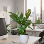 Must Know Vastu Shastra Hacks for House Buyers