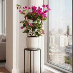 Why Home buyers in India Are Obsessed with Vastu