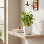 Why South Facing Homes Can Still Be Lucky with Vastu