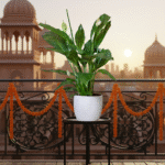 Why Home buyers in India Are Obsessed with Vastu