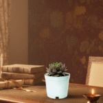 Why South Facing Homes Can Still Be Lucky with Vastu