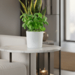 How to Shop for Vastu Compliant Decor