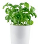 9 Vastu Mistakes That Lower Apartment Value