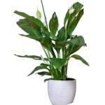 9 Vastu Mistakes That Lower Apartment Value